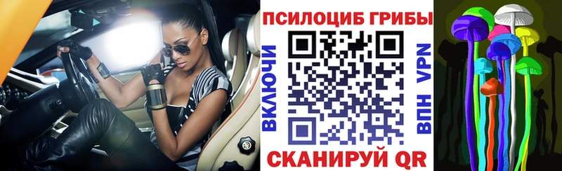 Галлюциногенные грибы мицелий  где купить наркоту  Певек 